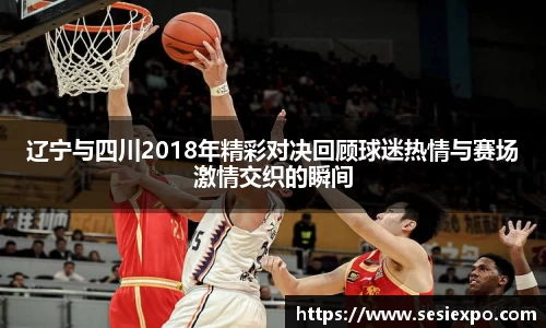 辽宁与四川2018年精彩对决回顾球迷热情与赛场激情交织的瞬间